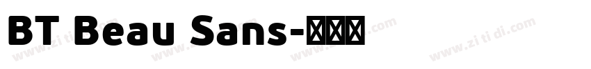 BT Beau Sans字体转换